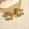 Celadon Reverie Gold Electroplated Natural Stone Cluster Studs