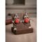 Coral Lunette Stone Stud Earrings